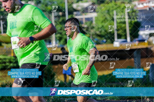 Vale Verde Run 2024