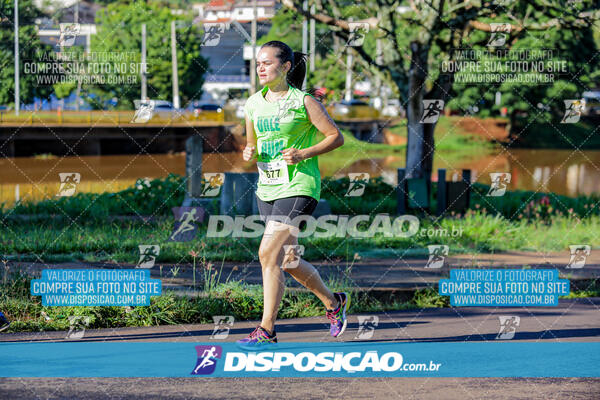 Vale Verde Run 2024