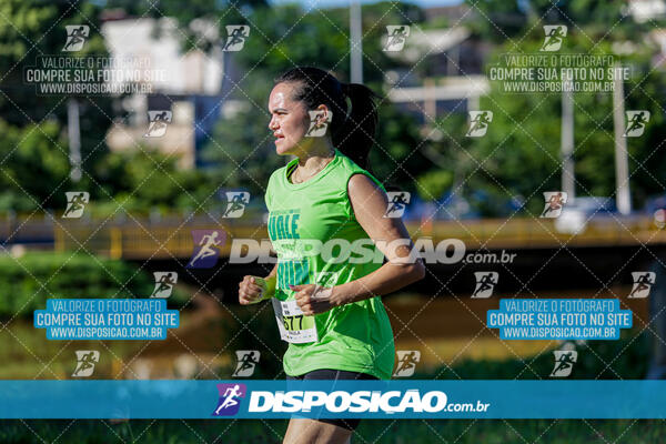 Vale Verde Run 2024