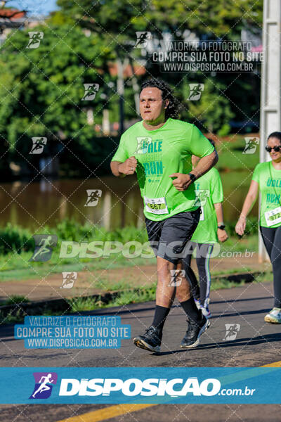 Vale Verde Run 2024