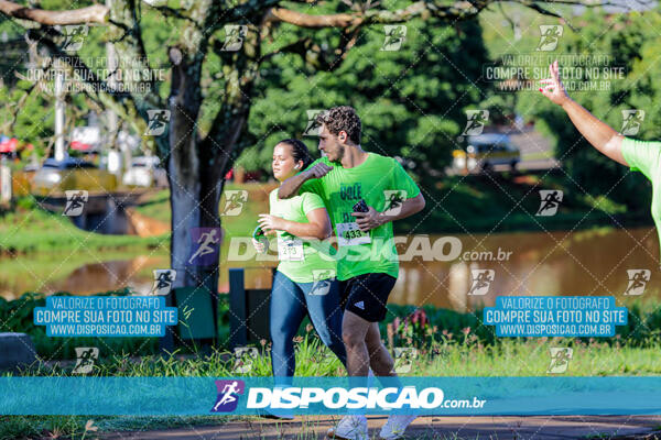 Vale Verde Run 2024