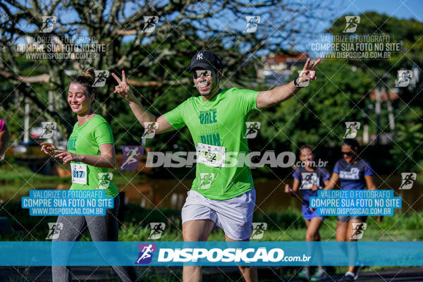 Vale Verde Run 2024