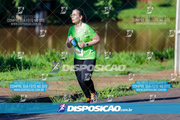 Vale Verde Run 2024