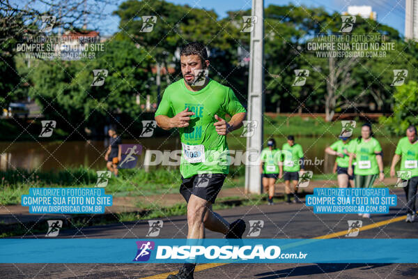 Vale Verde Run 2024