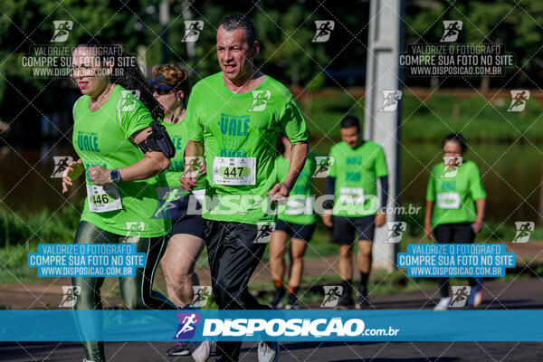 Vale Verde Run 2024