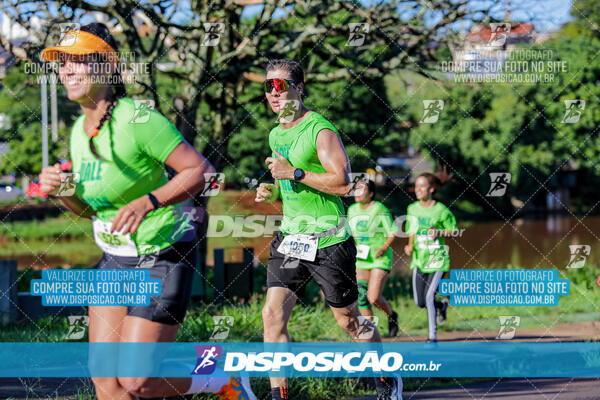 Vale Verde Run 2024