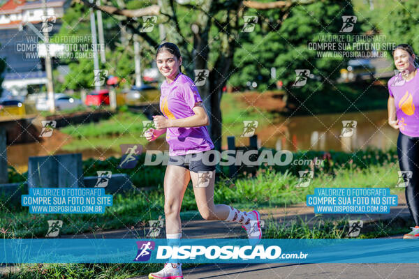 Vale Verde Run 2024