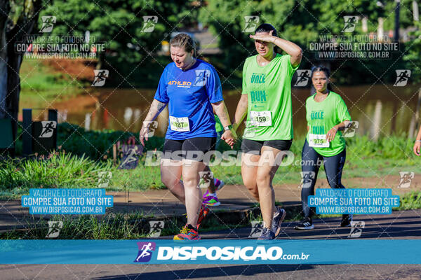 Vale Verde Run 2024