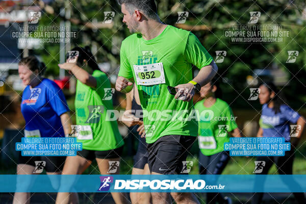 Vale Verde Run 2024