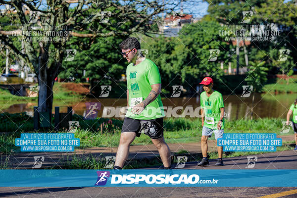 Vale Verde Run 2024