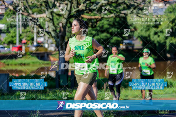 Vale Verde Run 2024