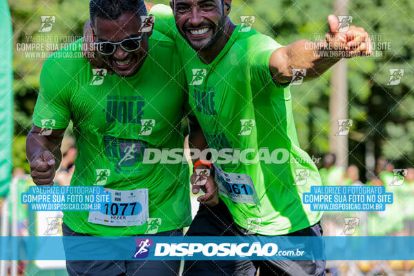 Vale Verde Run 2024