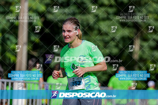 Vale Verde Run 2024