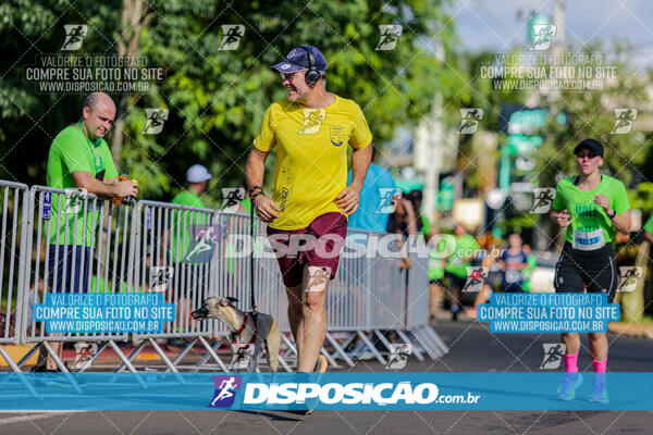 Vale Verde Run 2024