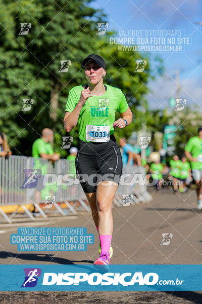 Vale Verde Run 2024