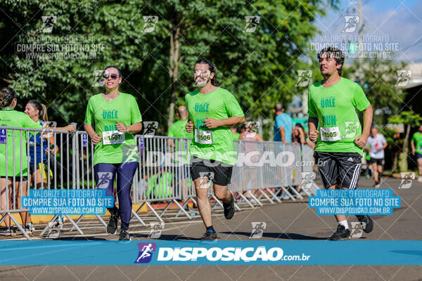 Vale Verde Run 2024