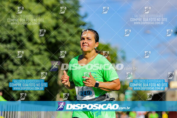 Vale Verde Run 2024