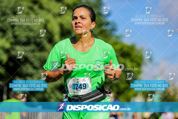 Vale Verde Run 2024