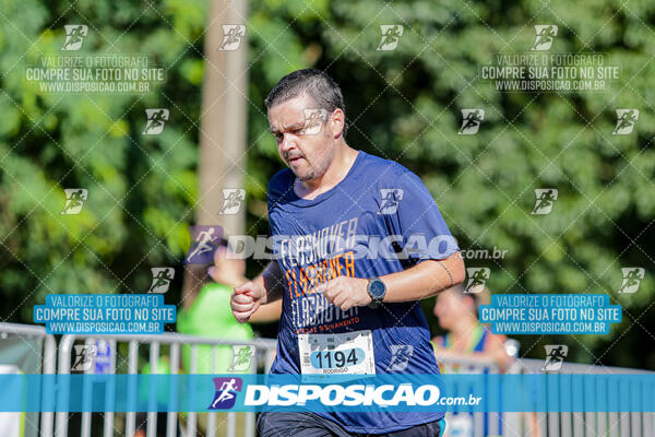 Vale Verde Run 2024