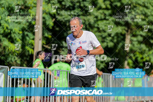 Vale Verde Run 2024