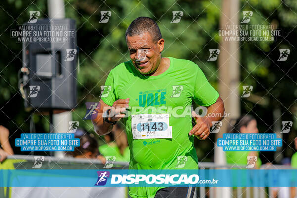 Vale Verde Run 2024