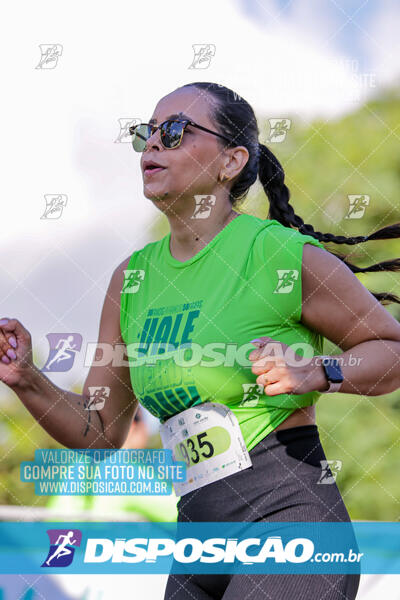 Vale Verde Run 2024