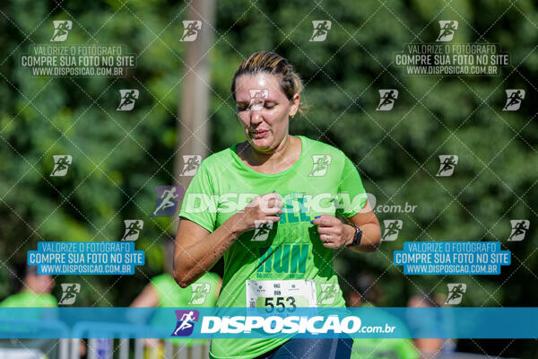 Vale Verde Run 2024