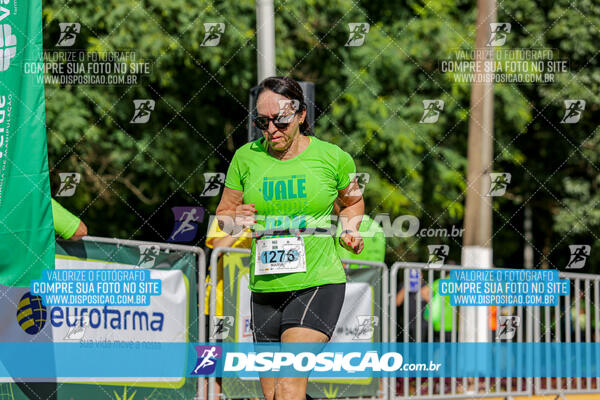 Vale Verde Run 2024