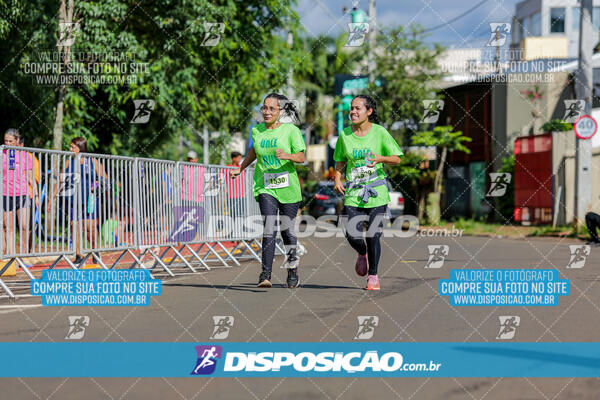 Vale Verde Run 2024