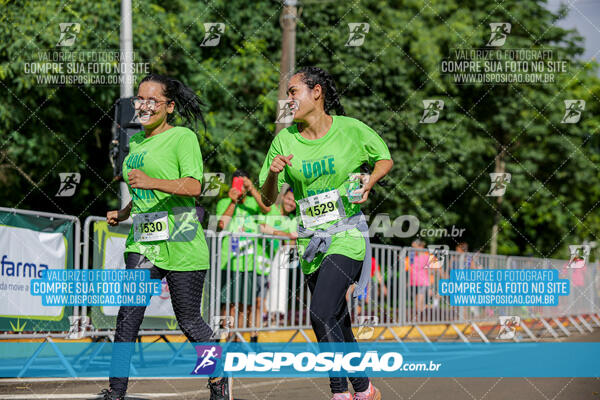 Vale Verde Run 2024