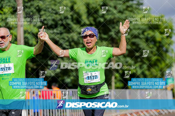 Vale Verde Run 2024