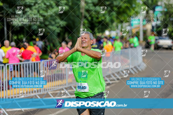 Vale Verde Run 2024