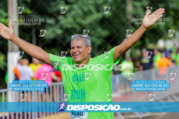 Vale Verde Run 2024