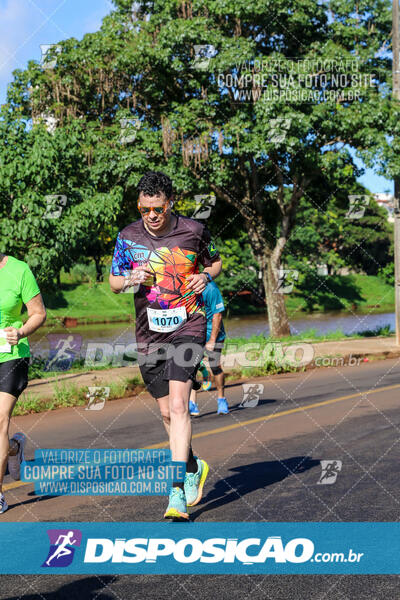 Vale Verde Run 2024