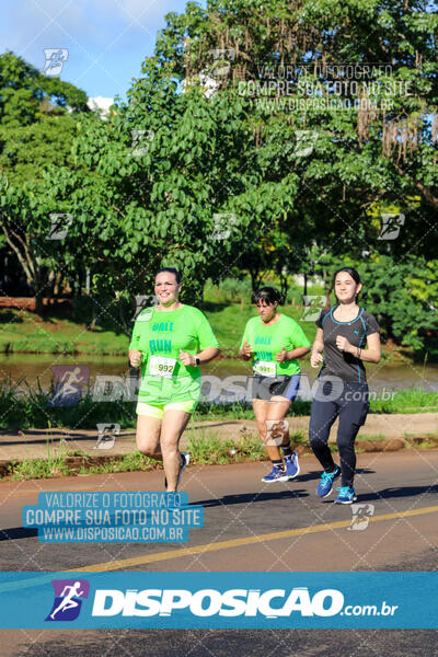 Vale Verde Run 2024