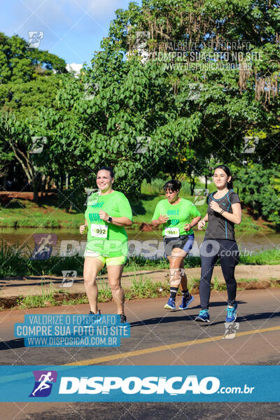 Vale Verde Run 2024