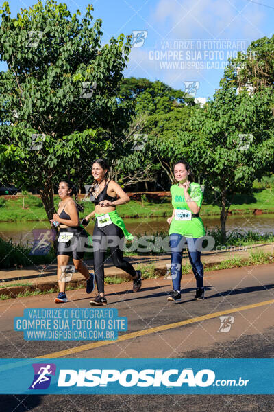 Vale Verde Run 2024