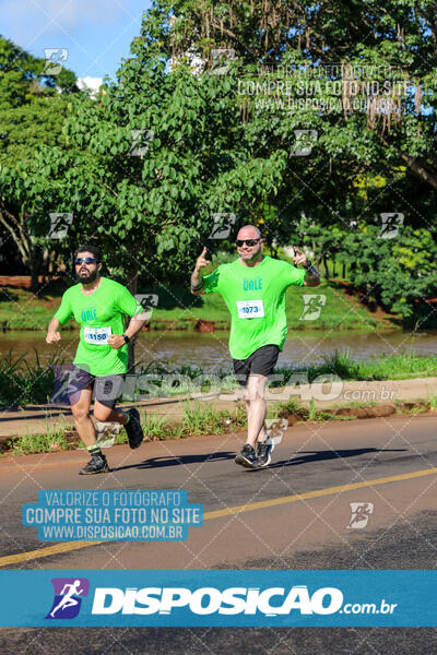 Vale Verde Run 2024