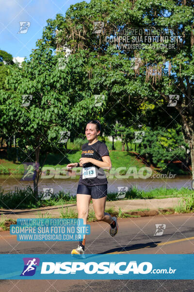 Vale Verde Run 2024