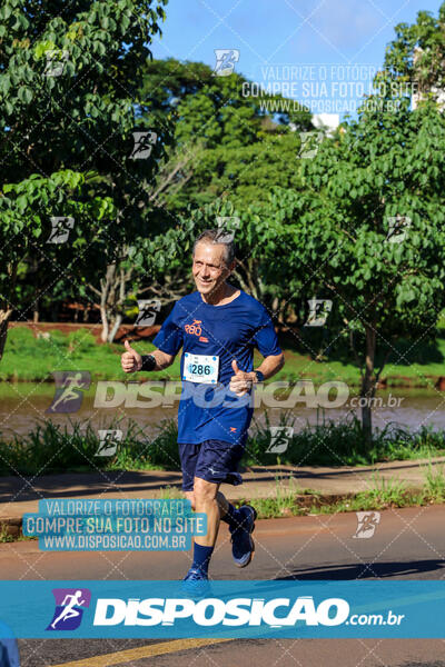 Vale Verde Run 2024