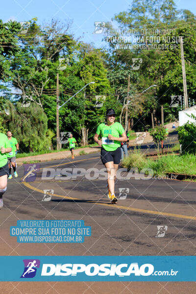 Vale Verde Run 2024