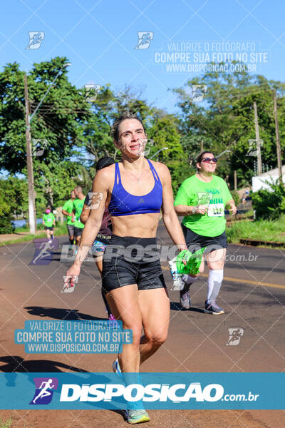 Vale Verde Run 2024