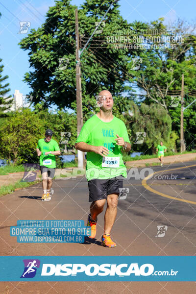 Vale Verde Run 2024