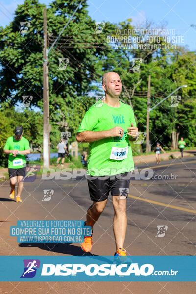 Vale Verde Run 2024