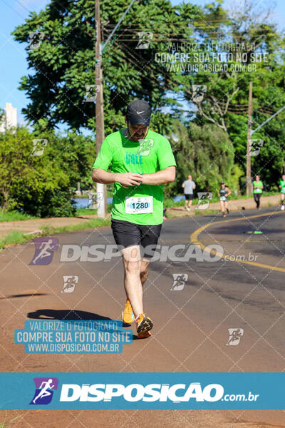 Vale Verde Run 2024