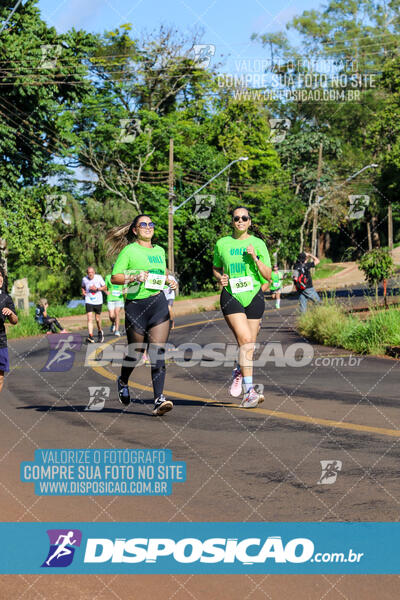 Vale Verde Run 2024