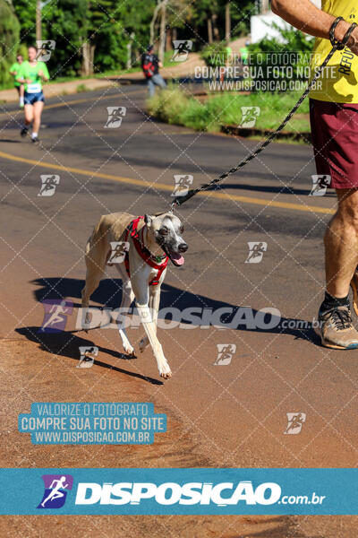 Vale Verde Run 2024