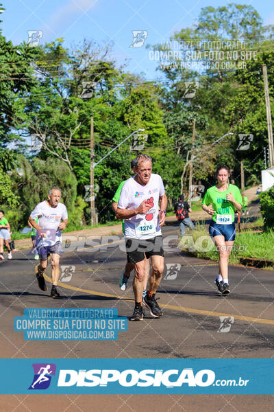 Vale Verde Run 2024