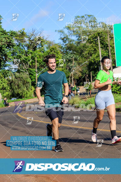 Vale Verde Run 2024