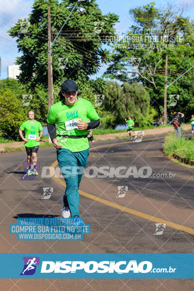 Vale Verde Run 2024